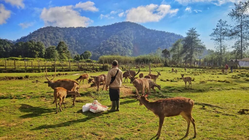 Wisata Alam Bandung